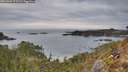 ./images/calvert/foggy-cove/20260301/foggy-cove20260301_171501M.jpg