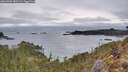 ./images/calvert/foggy-cove/20260302/foggy-cove20260302_080501M.jpg