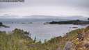 ./images/calvert/foggy-cove/20260302/foggy-cove20260302_083501M.jpg