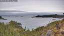 ./images/calvert/foggy-cove/20260302/foggy-cove20260302_085002M.jpg