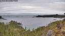 ./images/calvert/foggy-cove/20260302/foggy-cove20260302_103001M.jpg