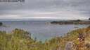 ./images/calvert/foggy-cove/20260302/foggy-cove20260302_110502M.jpg
