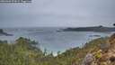 ./images/calvert/foggy-cove/20260303/foggy-cove20260303_073001M.jpg