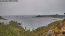 ./images/calvert/foggy-cove/20260303/foggy-cove20260303_073501M.jpg