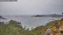 ./images/calvert/foggy-cove/20260303/foggy-cove20260303_074001M.jpg