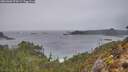 ./images/calvert/foggy-cove/20260303/foggy-cove20260303_074501M.jpg