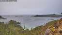 ./images/calvert/foggy-cove/20260303/foggy-cove20260303_075001M.jpg