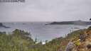 ./images/calvert/foggy-cove/20260303/foggy-cove20260303_081001M.jpg