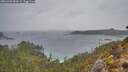 ./images/calvert/foggy-cove/20260303/foggy-cove20260303_082001M.jpg