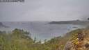 ./images/calvert/foggy-cove/20260303/foggy-cove20260303_082501M.jpg