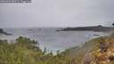 ./images/calvert/foggy-cove/20260303/foggy-cove20260303_083501M.jpg