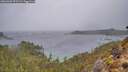 ./images/calvert/foggy-cove/20260303/foggy-cove20260303_091501M.jpg