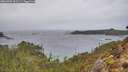 ./images/calvert/foggy-cove/20260303/foggy-cove20260303_103501M.jpg