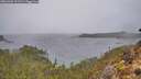 ./images/calvert/foggy-cove/20260303/foggy-cove20260303_111501M.jpg
