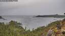 ./images/calvert/foggy-cove/20260303/foggy-cove20260303_113501M.jpg