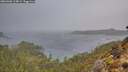 ./images/calvert/foggy-cove/20260303/foggy-cove20260303_114001M.jpg