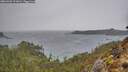 ./images/calvert/foggy-cove/20260303/foggy-cove20260303_121001M.jpg