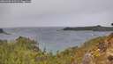 ./images/calvert/foggy-cove/20260303/foggy-cove20260303_122501M.jpg