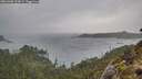 ./images/calvert/foggy-cove/20260303/foggy-cove20260303_123001M.jpg