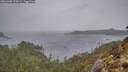 ./images/calvert/foggy-cove/20260303/foggy-cove20260303_125001M.jpg