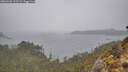 ./images/calvert/foggy-cove/20260303/foggy-cove20260303_125501M.jpg