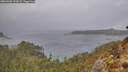 ./images/calvert/foggy-cove/20260303/foggy-cove20260303_133001M.jpg
