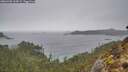 ./images/calvert/foggy-cove/20260303/foggy-cove20260303_144501M.jpg