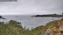 ./images/calvert/foggy-cove/20260303/foggy-cove20260303_145501M.jpg