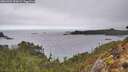 ./images/calvert/foggy-cove/20260303/foggy-cove20260303_150001M.jpg