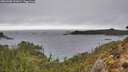 ./images/calvert/foggy-cove/20260303/foggy-cove20260303_151001M.jpg