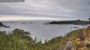./images/calvert/foggy-cove/20260303/foggy-cove20260303_164001M.jpg