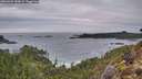 ./images/calvert/foggy-cove/20260303/foggy-cove20260303_180001M.jpg