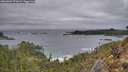 ./images/calvert/foggy-cove/20260304/foggy-cove20260304_071001M.jpg