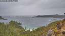 ./images/calvert/foggy-cove/20260304/foggy-cove20260304_083501M.jpg