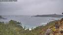 ./images/calvert/foggy-cove/20260304/foggy-cove20260304_084002M.jpg