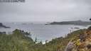 ./images/calvert/foggy-cove/20260304/foggy-cove20260304_085001M.jpg
