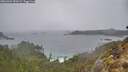 ./images/calvert/foggy-cove/20260304/foggy-cove20260304_090501M.jpg