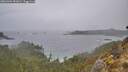 ./images/calvert/foggy-cove/20260304/foggy-cove20260304_091001M.jpg