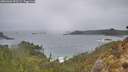 ./images/calvert/foggy-cove/20260304/foggy-cove20260304_091501M.jpg