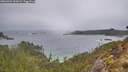 ./images/calvert/foggy-cove/20260304/foggy-cove20260304_092001M.jpg