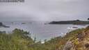 ./images/calvert/foggy-cove/20260304/foggy-cove20260304_092501M.jpg
