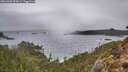 ./images/calvert/foggy-cove/20260304/foggy-cove20260304_093001M.jpg