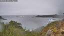 ./images/calvert/foggy-cove/20260304/foggy-cove20260304_100501M.jpg