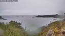 ./images/calvert/foggy-cove/20260304/foggy-cove20260304_101001M.jpg