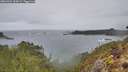 ./images/calvert/foggy-cove/20260304/foggy-cove20260304_102002M.jpg