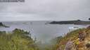 ./images/calvert/foggy-cove/20260304/foggy-cove20260304_102502M.jpg