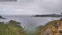 ./images/calvert/foggy-cove/20260304/foggy-cove20260304_103001M.jpg