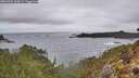 ./images/calvert/foggy-cove/20260304/foggy-cove20260304_104501M.jpg