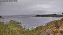./images/calvert/foggy-cove/20260304/foggy-cove20260304_121001M.jpg