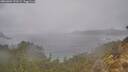 ./images/calvert/foggy-cove/20260304/foggy-cove20260304_121501M.jpg